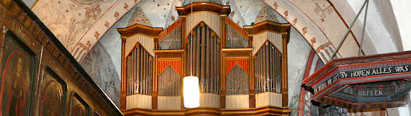 Orgel - Ev. Kirche Treisbach